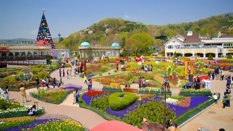 Giải trí tại Everland Hàn Quốc với nhiều trải nghiệm cực kỳ ấn tượng