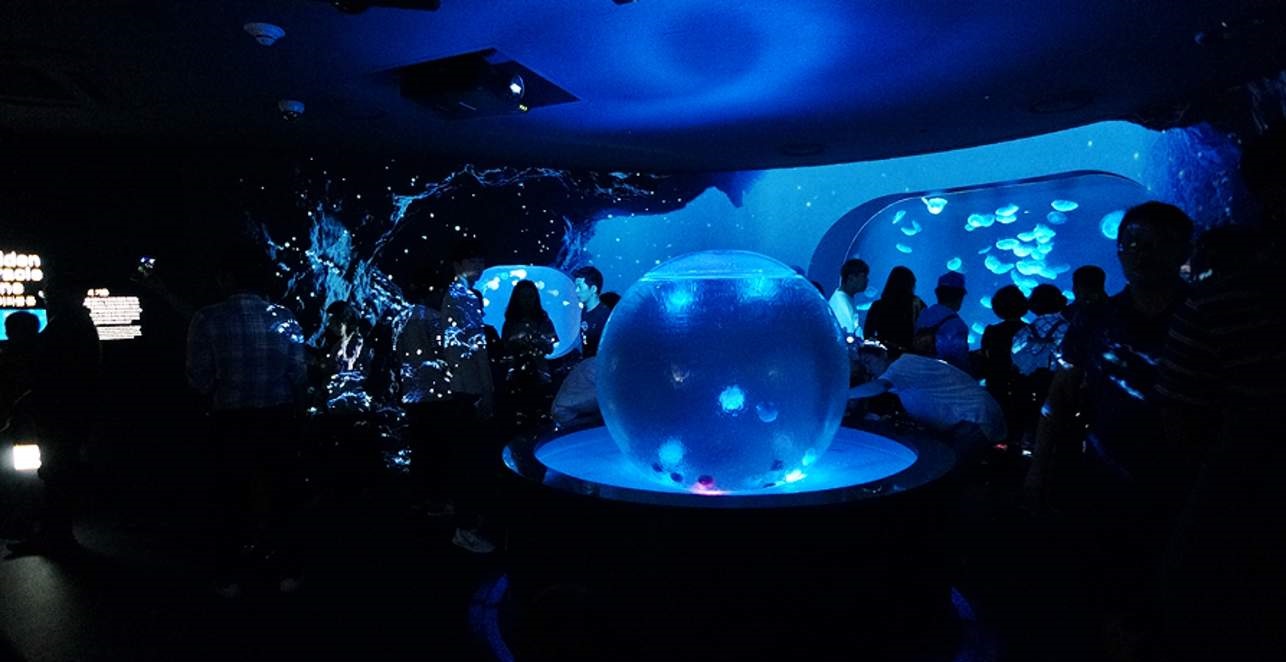 Lộ diện thủy cung độc đáo nhất Hàn Quốc Hanwha Aqua Planet 63